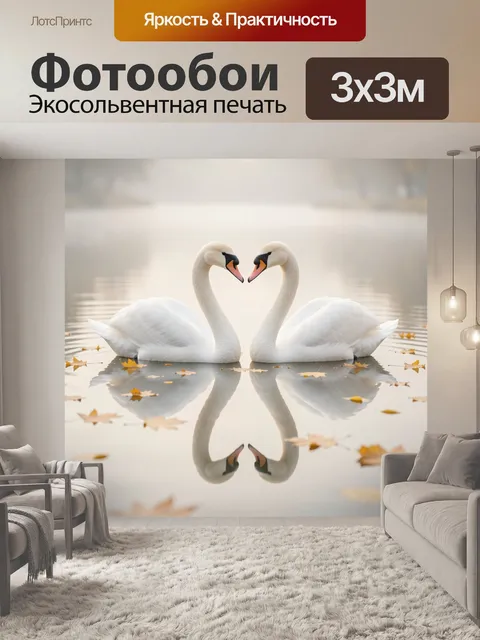 Фотообои Пара белых лебедей на воде