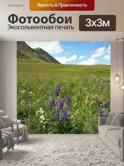 Фотообои Полевые цветы