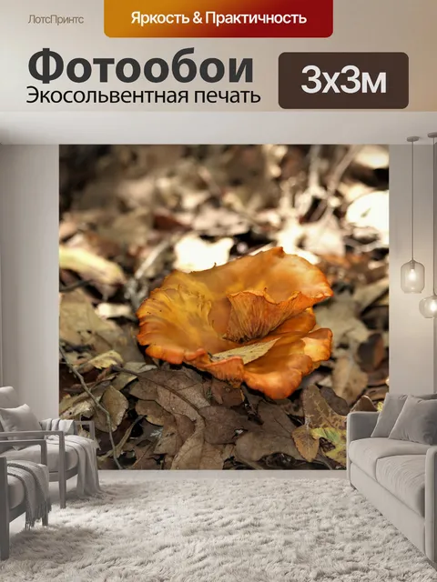 Фотообои Джек-О-Фонарь Грибы и листья
