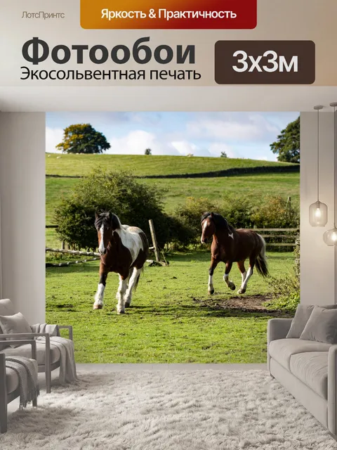 Фотообои лошадь