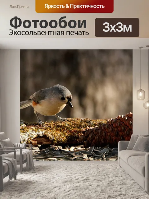 Фотообои Туфтовая синица в падении