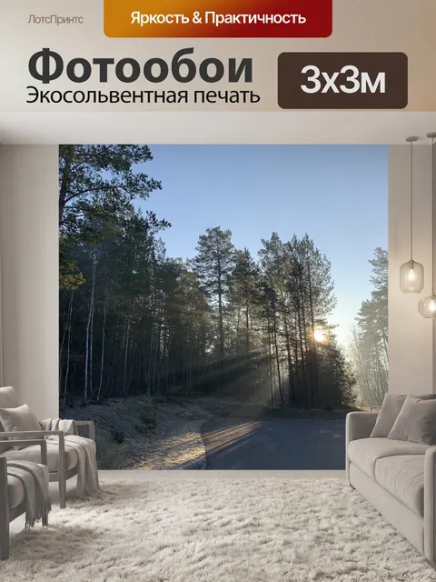 Фотообои Лес