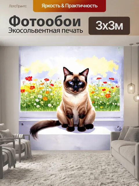 Фотообои сиамская кошка с круглой головой сидит на высоком белом подоконнике
