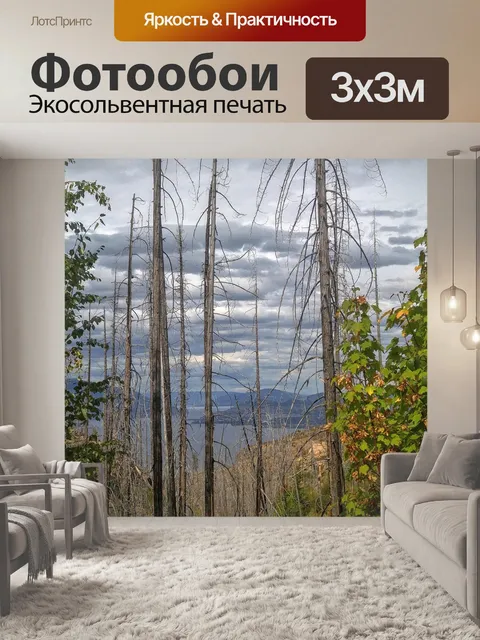 Фотообои Пожар