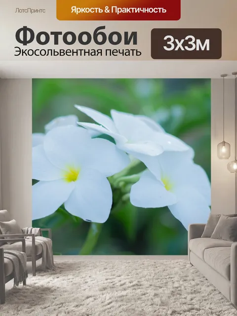 Фотообои Листья