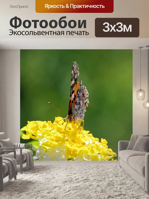 Фотообои Цветы