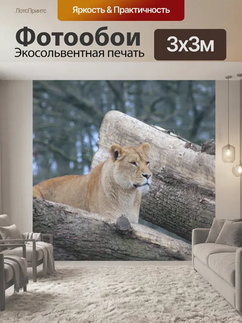 Фотообои Львица