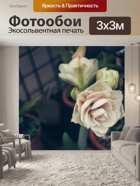 Фотообои Цветы