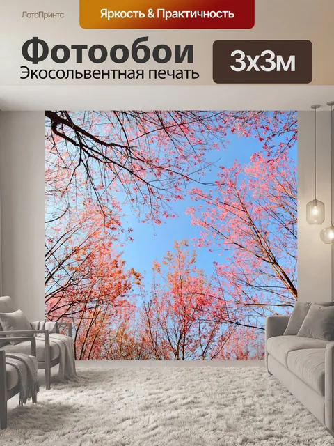Фотообои Prunus cerasoides, дикая гималайская виш