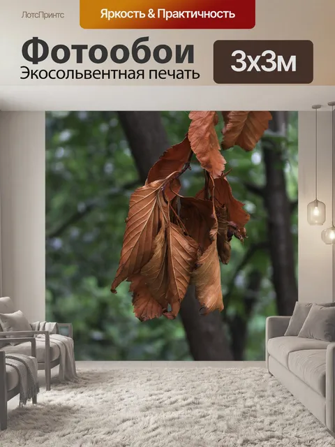 Фотообои Листья