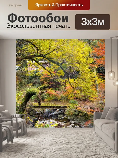 Фотообои Лес