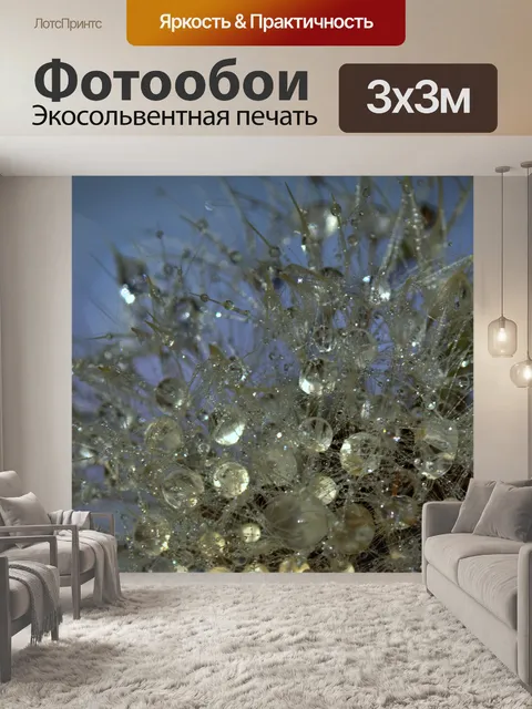 Фотообои Одуванчик