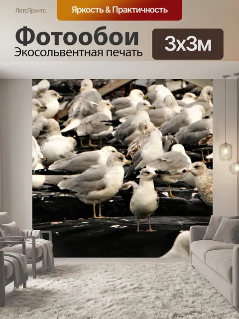 Фотообои Стая кольчатых чаек