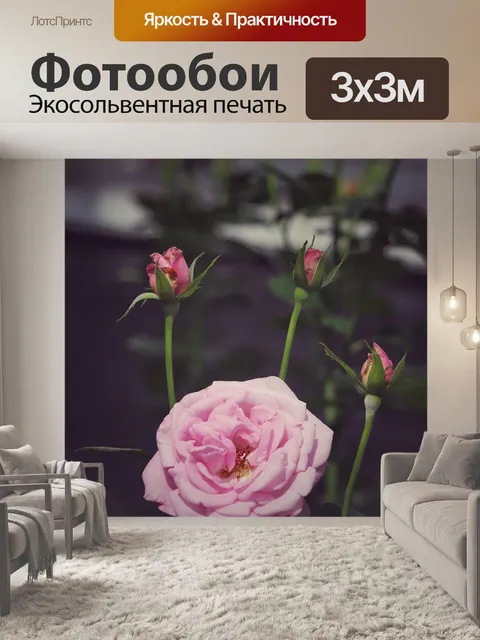Фотообои Роза