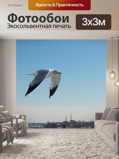 Фотообои Птица