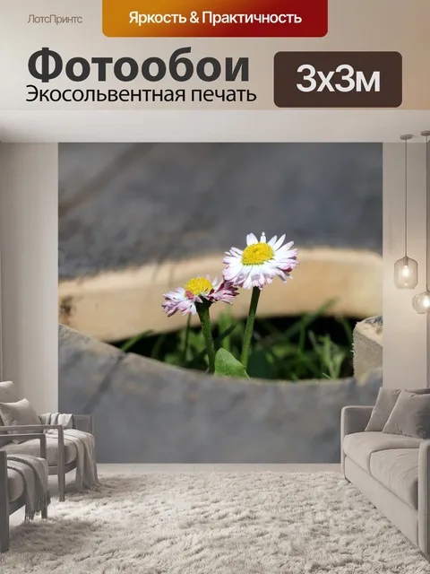 Фотообои Сердце