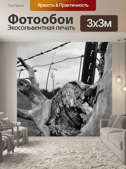 Фотообои Изгородь