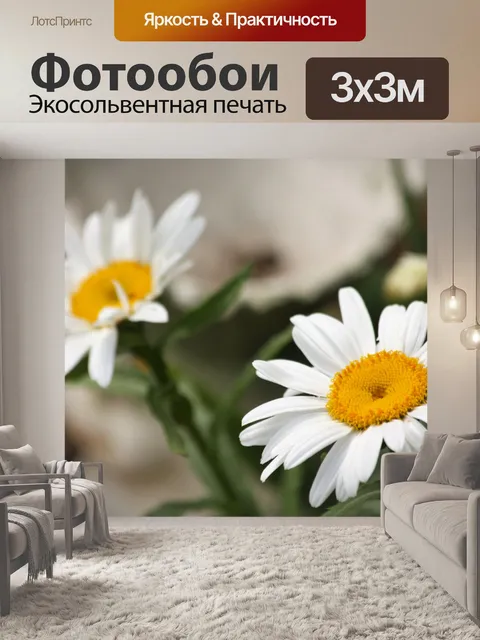 Фотообои История Shasta Daisy