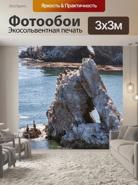 Фотообои Пеликаны на скалах