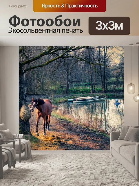 Фотообои Лошадь
