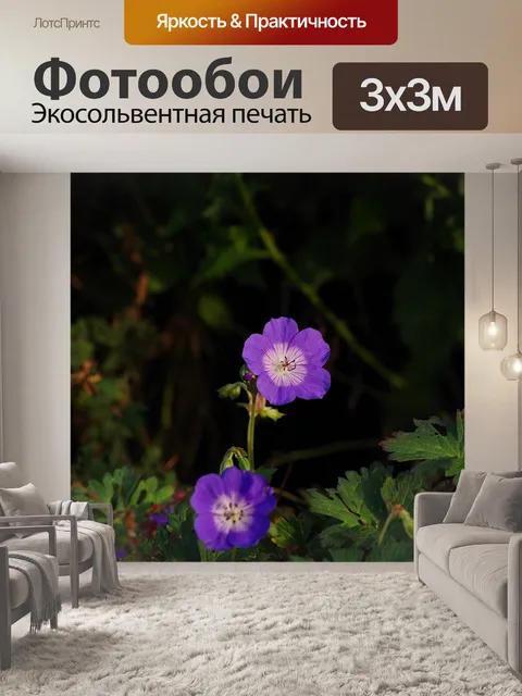 Фотообои Цветы