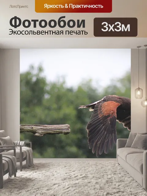 Фотообои Птица