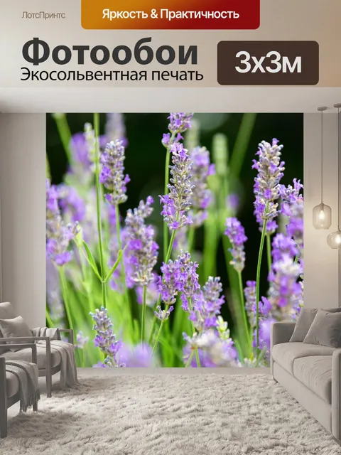 Фотообои цветущая лаванда