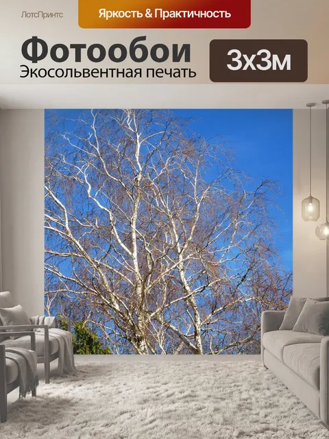 Фотообои Деревья