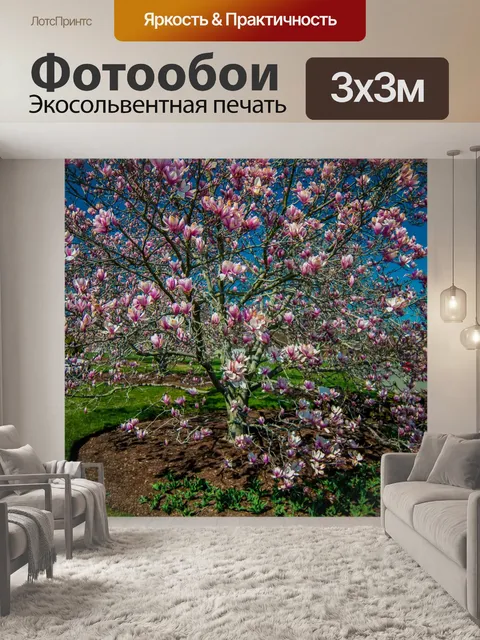 Фотообои Магнолия дерево весной