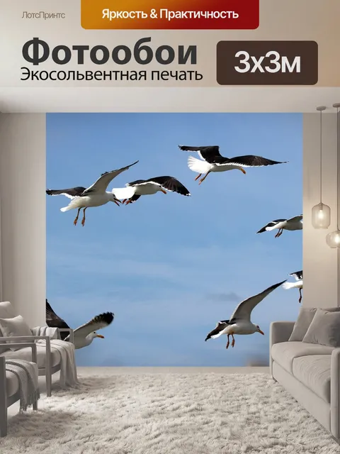Фотообои Птица
