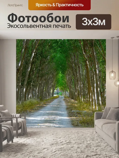 Фотообои Тополей
