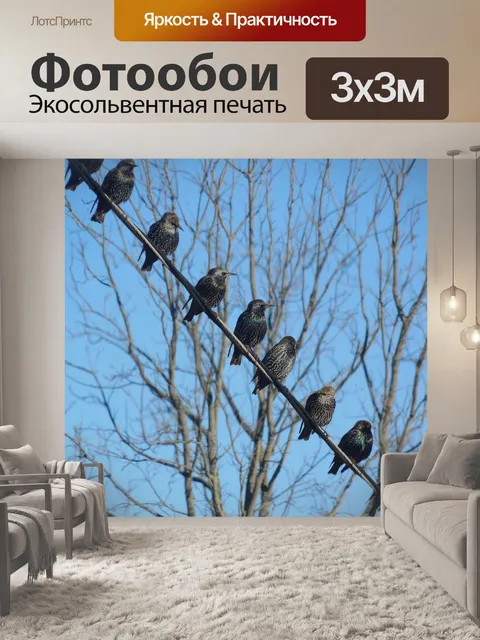 Фотообои Птицы