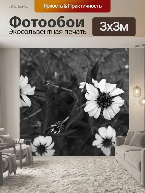Фотообои Черное и белое