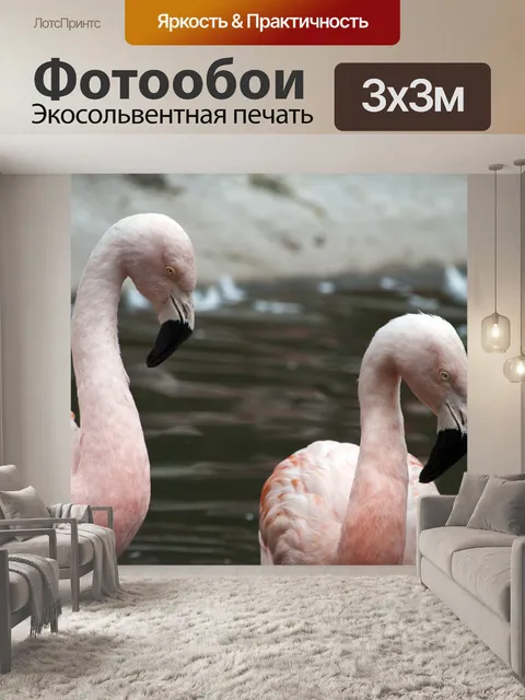 Фотообои Розовые фламинго