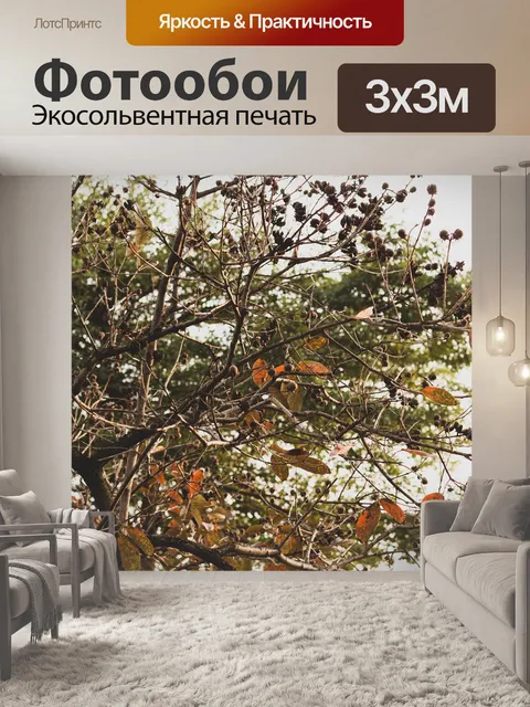 Фотообои Осень