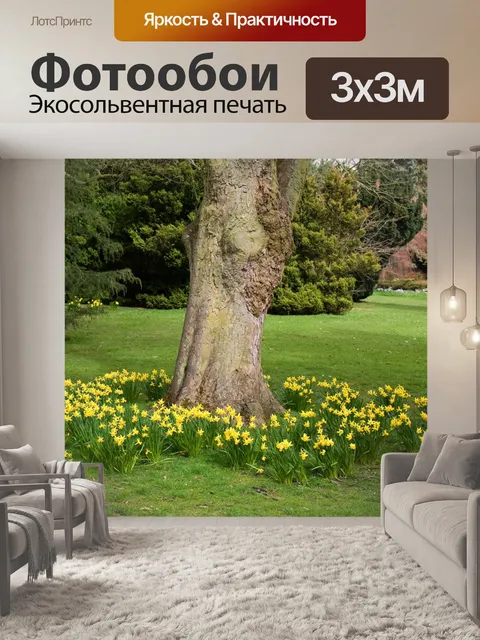 Фотообои В парке нарциссы
