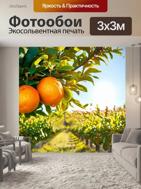 Фотообои в цитрусовом саду полным-полно ярких апельсинов на деревьях, на фоне яркого солнечного дня