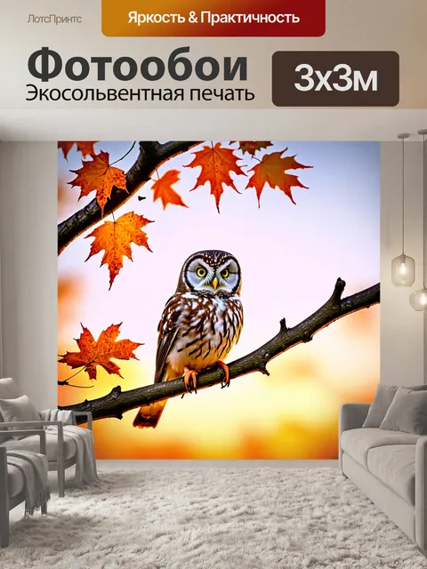 Фотообои с веткой, на которой сидит маленькая сова, окруженная яркими осенними листьями, на фоне вечернего неба…