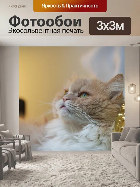 Фотообои Кот