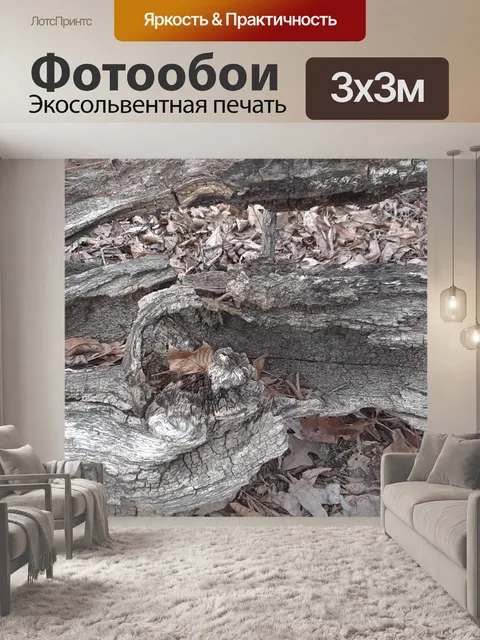 Фотообои Сгнившее дерево на лесной почве