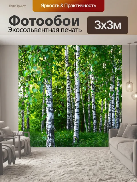 Фотообои Березы