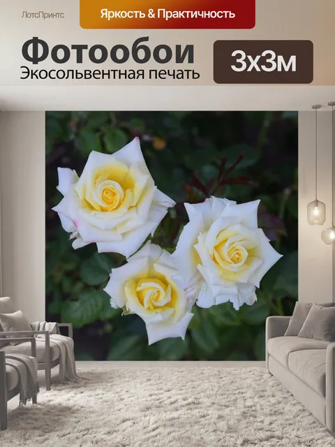 Фотообои Цветы