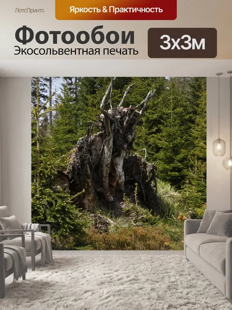 Фотообои Природа
