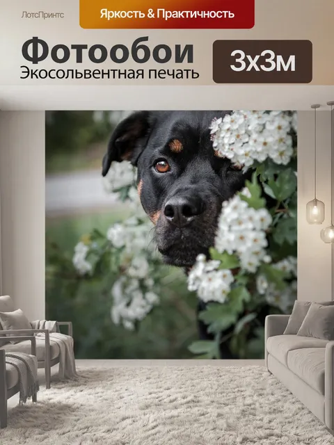 Фотообои Собака