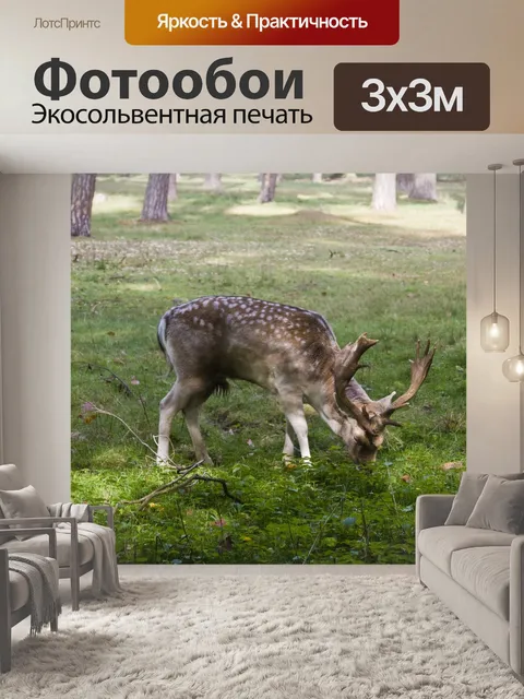 Фотообои Олень