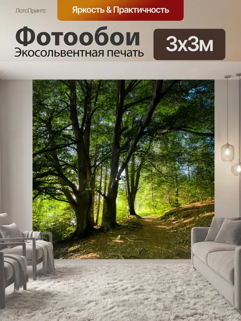 Фотообои Лес