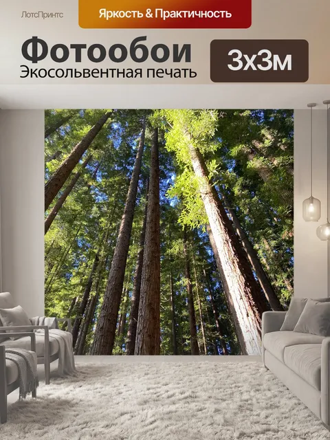 Фотообои Деревья
