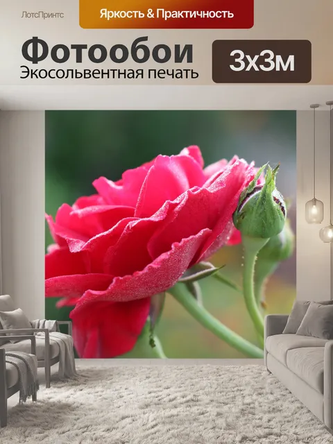 Фотообои Мороз