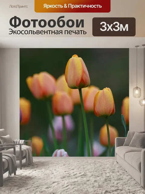 Фотообои Тюльпаны