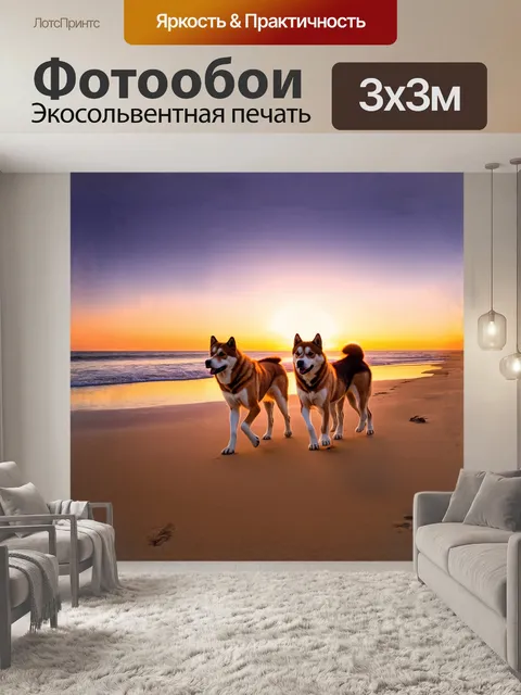 Фотообои акита-ину, величественно идущие по пустынному пляжу во время заката, когда солнце опускается за горизонт…